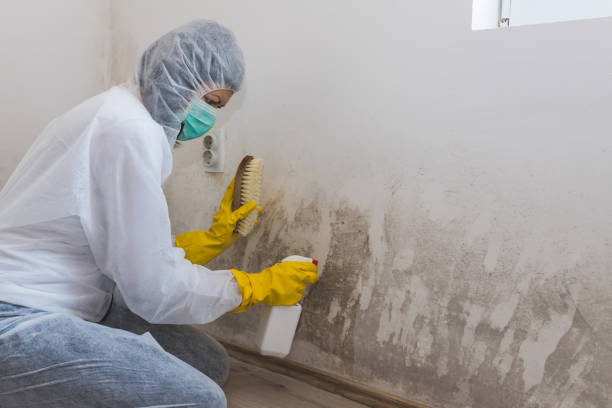 Best HVAC Mold Inspection and Cleaning  in Decorah, IA
