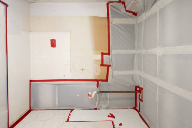 Best Emergency Mold Remediation  in Decorah, IA