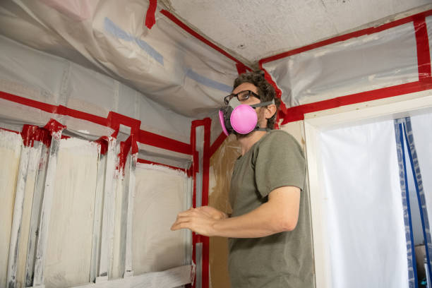 Mold Remediation for Rental Properties in Decorah, IA