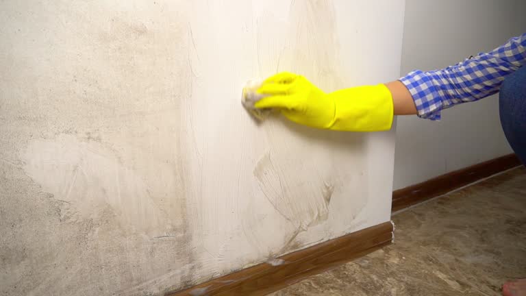 Decorah, IA Mold Removal Company