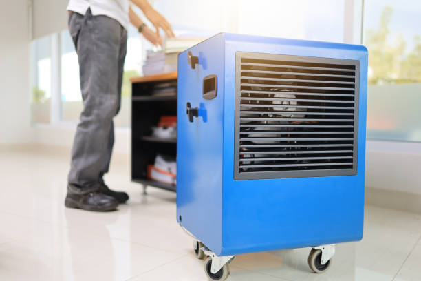 Best Dehumidification Services  in Decorah, IA