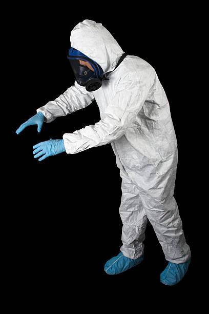 Best Crawl Space Mold Remediation  in Decorah, IA
