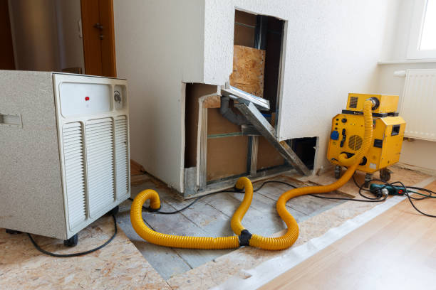 Best Mold Remediation for Healthcare Facilities  in Decorah, IA
