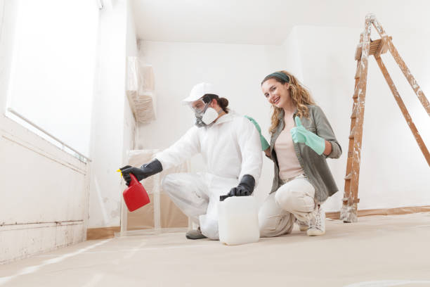 Mold Remediation for Vacation Homes in Decorah, IA