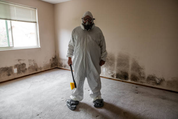 Best Mold Documentation for Insurance Claims  in Decorah, IA